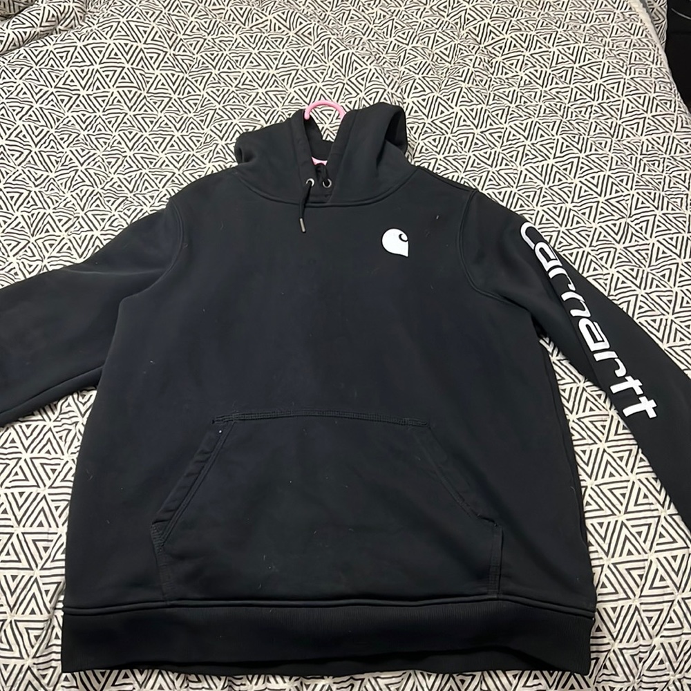 Carharrtt Clarksburg Hoodie